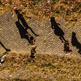 Overhead view of students walking on a campus mall